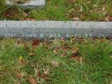 image of grave number 562927